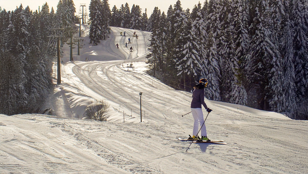 Χιονοδρομικό Κέντρο Περτουλίου Τρίκαλα σκι στα έλατα