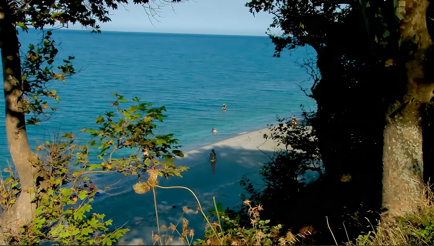 Πανοραμική θέα της παραλίας Παλιουριάς στη Λάρισαμέσα από φυσικό πλαίσιο δέντρων. Διακρίνονται τρεις λουόμενοι στα γαλάζια νερά και η αμμουδιά που περιβάλλεται από πράσινη βλάστηση.