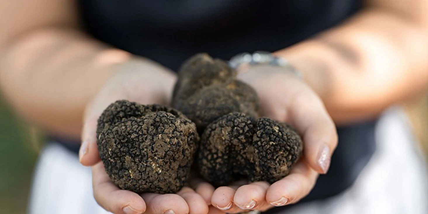 Δεκάδες χιλιάδες άνθρωποι επισκέπτονται την Καλαμπάκα κατά τη διάρκεια της τριήμερης Πανελλήνιας Γιορτής Τρούφας,