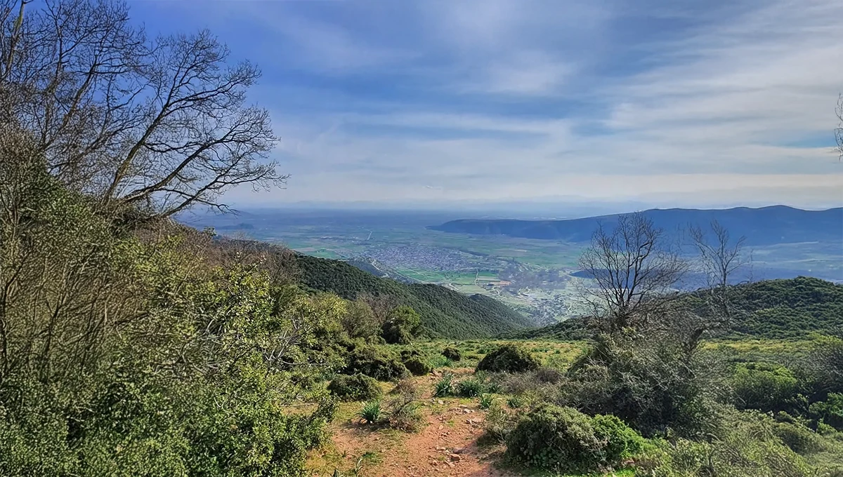 Οιχαλία Φαρκαδόνας – τοπική κοινότητα του δήμου