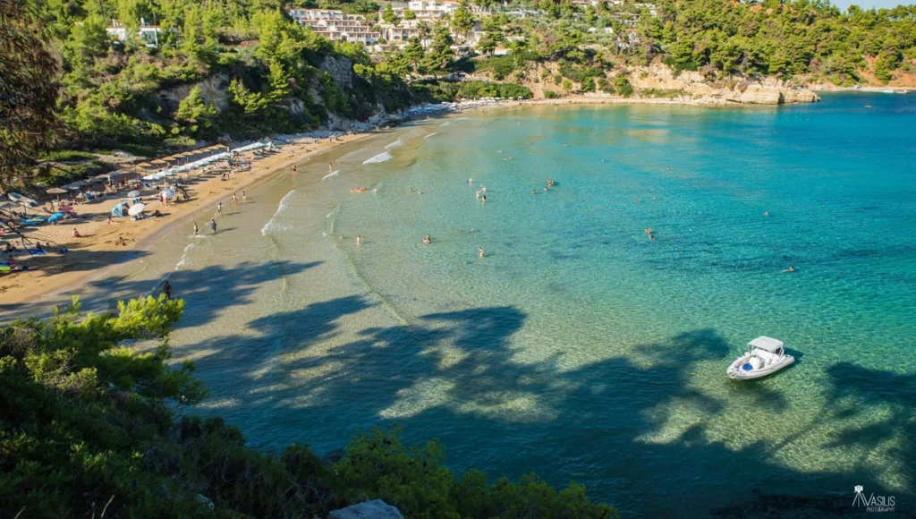 Ά&pi;&omicron;&psi;&eta; &tau;&eta;&sigmaf; &pi;&alpha;&rho;&alpha;&lambda;ί&alpha;&sigmaf; &Chi;&rho;&upsilon;&sigma;ή &Mu;&eta;&lambda;&iota;ά &sigma;&tau;&eta;&nu; &Alpha;&lambda;ό&nu;&nu;&eta;&sigma;&omicron; &mu;&epsilon; &chi;&rho;&upsilon;&sigma;ή ά&mu;&mu;&omicron;, &pi;&epsilon;ύ&kappa;&alpha; &kappa;&alpha;&iota; &kappa;&alpha;&tau;&alpha;&gamma;ά&lambda;&alpha;&nu;&alpha; &nu;&epsilon;&rho;ά