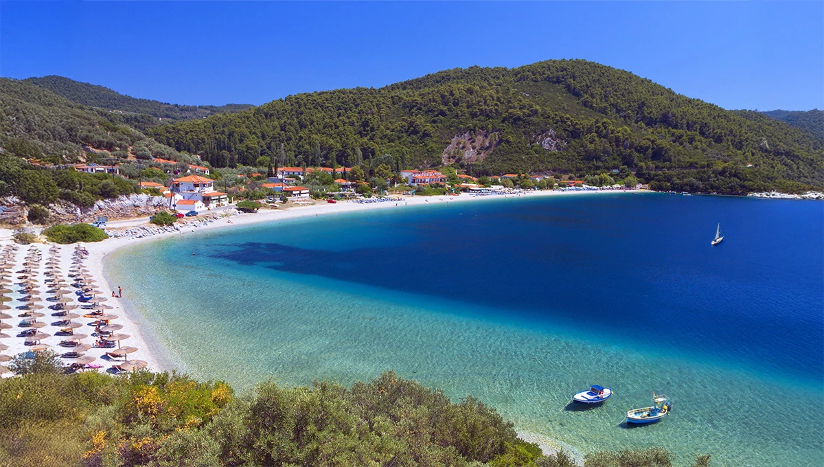 Παραλία Πάνορμος στη Σκόπελο με γαλάζια θάλασσα και πράσινα πεύκα
