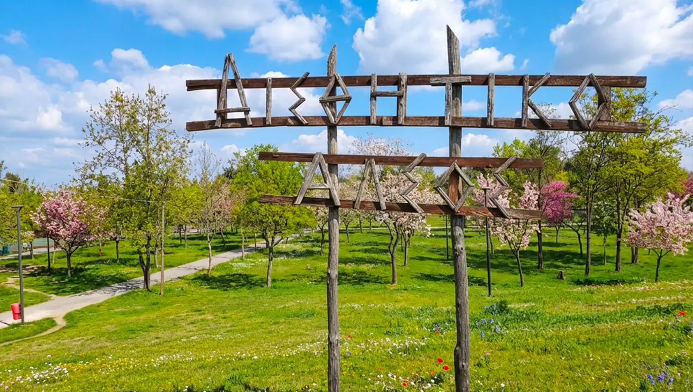 Καταπράσινα ψηλά δέντρα και μονοπάτια για περπάτημα στο Αισθητικό Άλσος της Λάρισας.