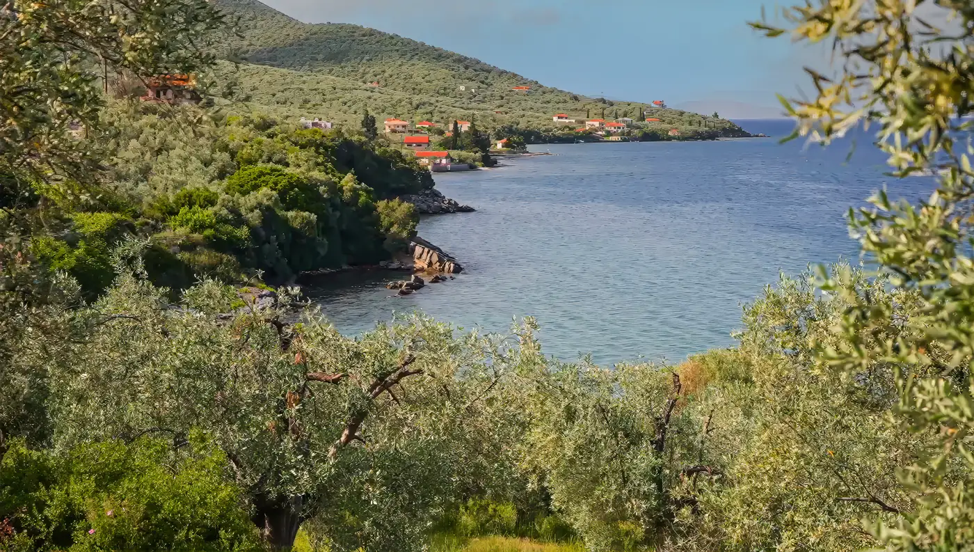 Το γραφικό λιμανάκι και η αβαθής παραλία στις Νηές Αλμυρού, στον Παγασητικό κόλπο.