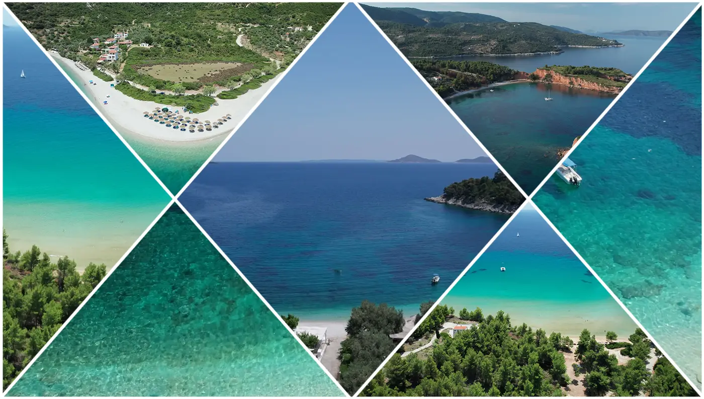 Γαλαζοπράσινα νερά, λευκά βότσαλα και πυκνά πευκοδάση που φτάνουν μέχρι το κύμα σε μια από τις παραλίες της Αλοννήσου.
