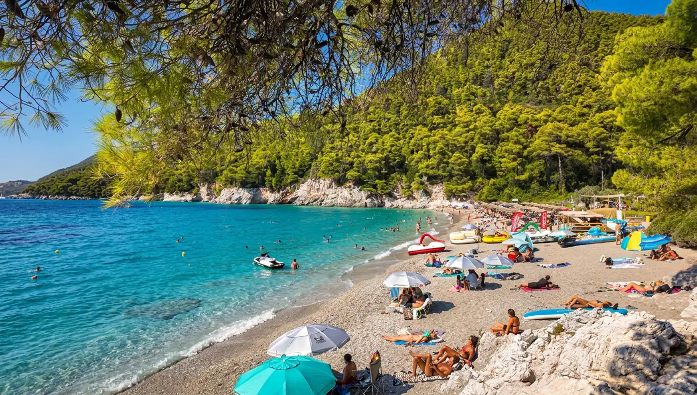 Κοντινό πλάνο στην αμμουδιά και τα κρυστάλλινα, διαυγή νερά της παραλίας Καστάνη με φόντο τα δέντρα.