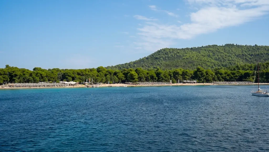 Ξαπλώστρες και ψιλή χρυσή άμμος στην παραλία Κουκουναριές της Σκιάθου με φόντο τα δέντρα.