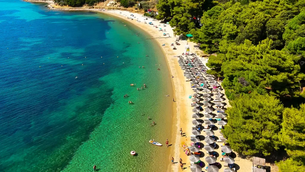 Εναέρια λήψη που δείχνει την Παραλία Αγία Ελένη Σκιάθου, με τη χρυσή αμμουδιά, τα γαλαζοπράσινα νερά και το πευκοδάσος.