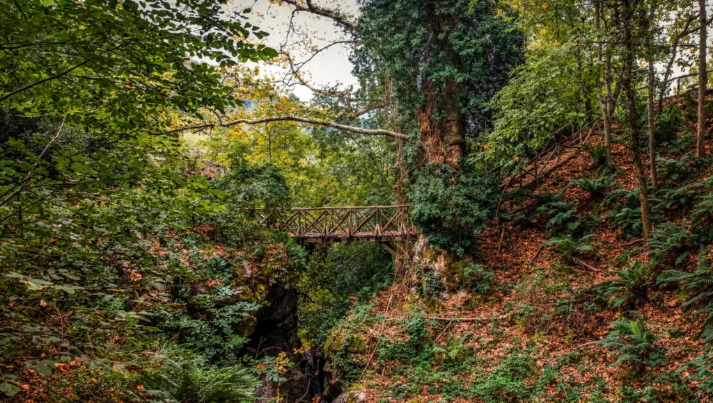 Ένα παραδοσιακό ξύλινο γεφυράκι πάνω από τα ορμητικά νερά στο ρέμα της Βελίκας, ανάμεσα σε πυκνή βλάστηση.